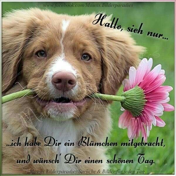 Schönen Tag Bilder 79