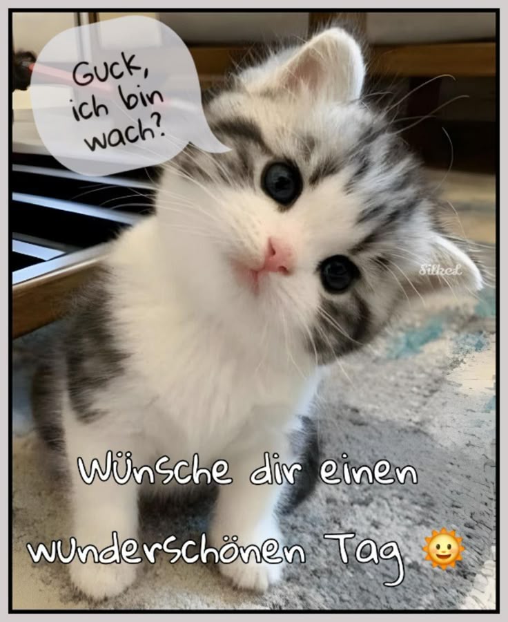 Schönen Tag Bilder 80
