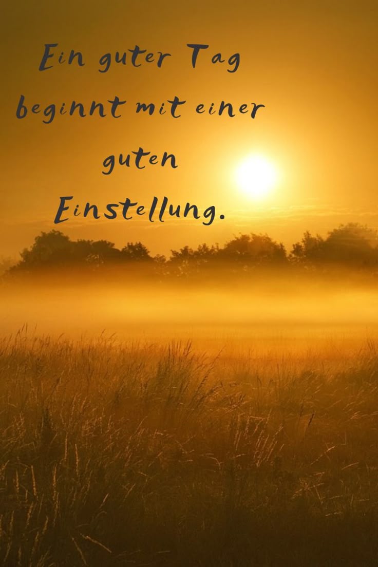Schönen Tag Bilder 81