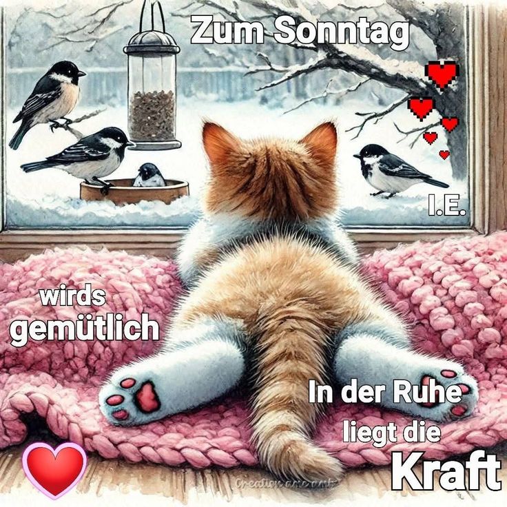 Schönes Wochenende Bilder 11