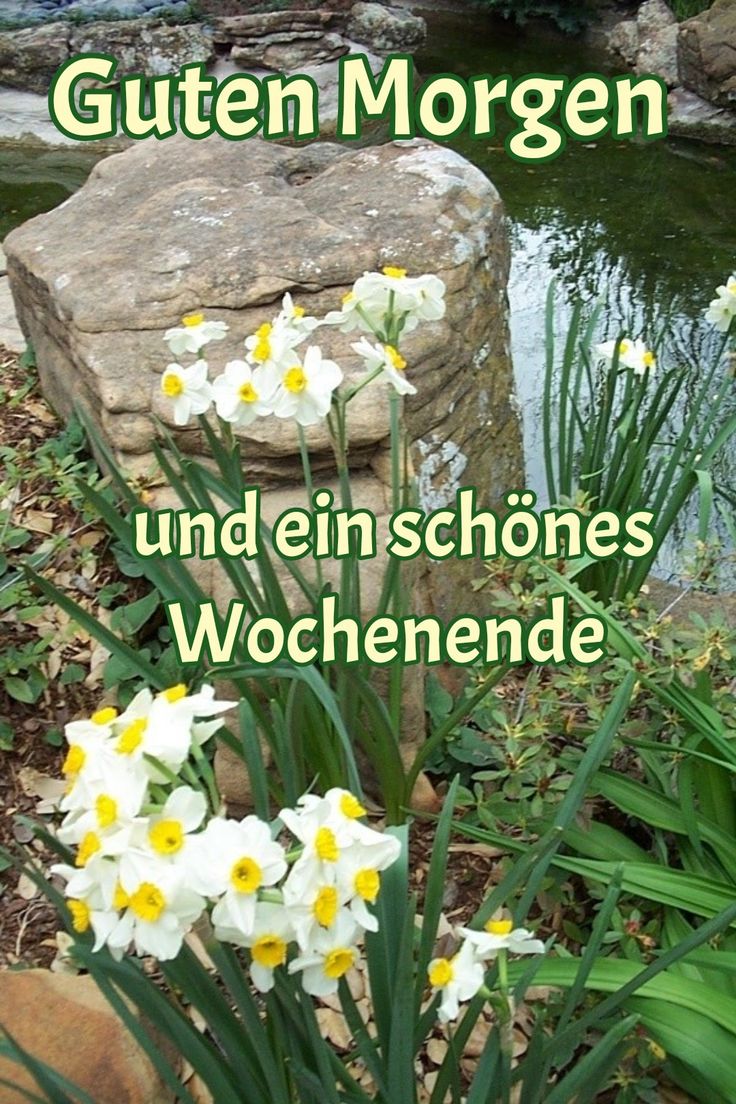 Schönes Wochenende Bilder 111