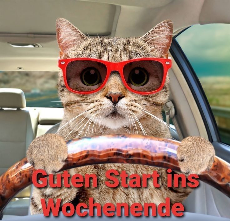 Schönes Wochenende Bilder 135