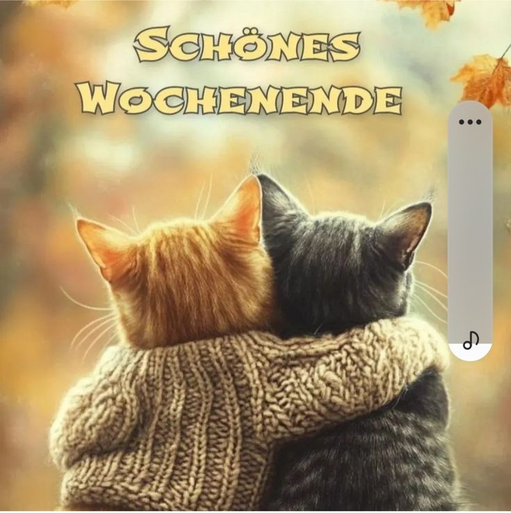 Schönes Wochenende Bilder 136