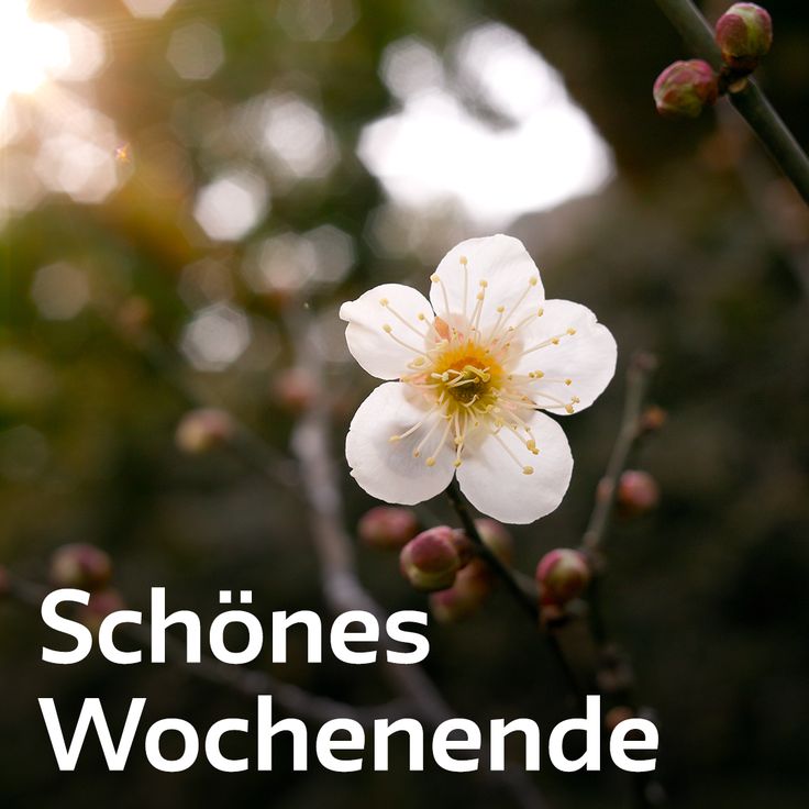 Schönes Wochenende Bilder 142