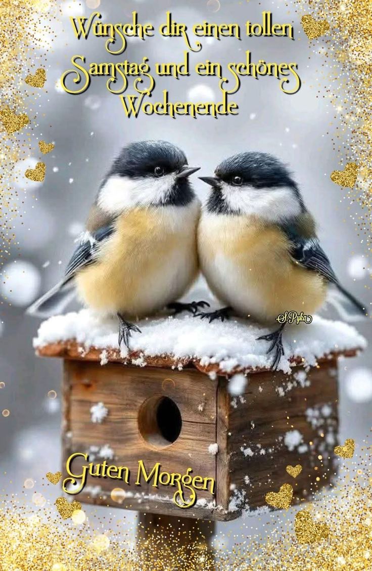 Schönes Wochenende Bilder 145