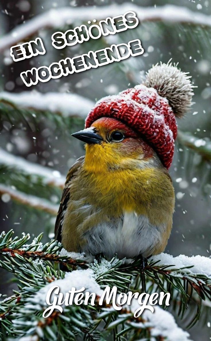 Schönes Wochenende Bilder 33