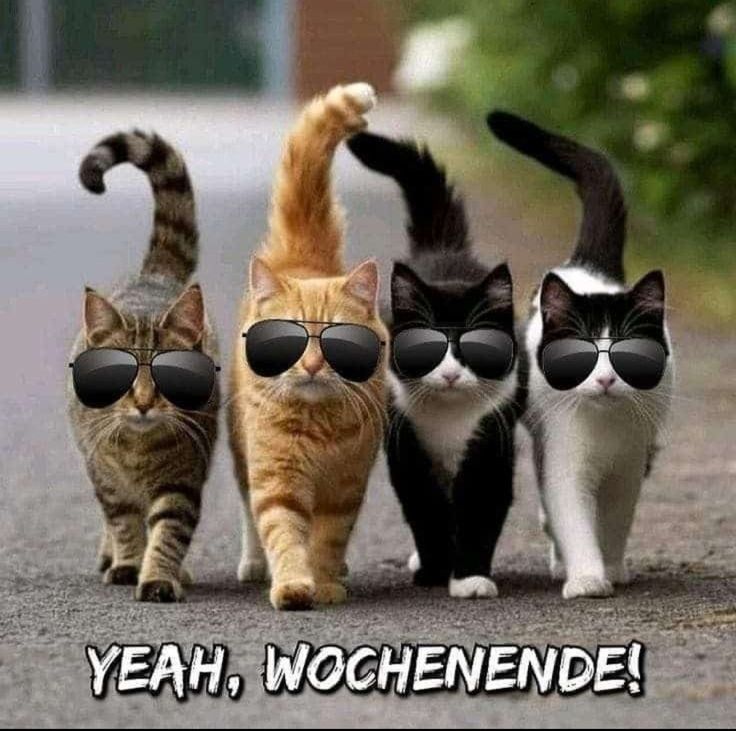 Schönes Wochenende Bilder 44