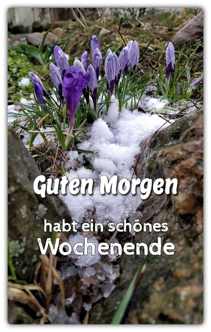 Schönes Wochenende Bilder 48