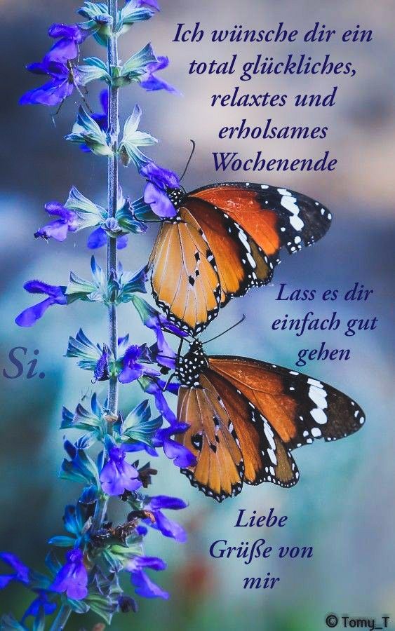 Schönes Wochenende Bilder 5