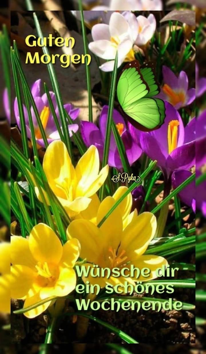 Schönes Wochenende Bilder 81