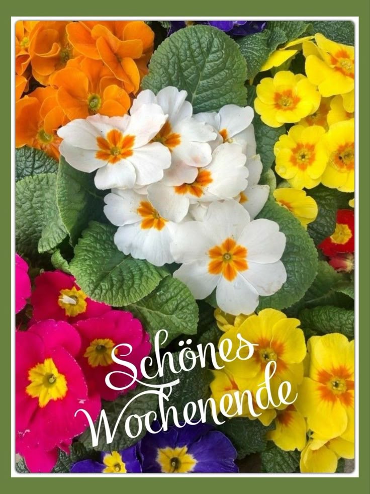 Schönes Wochenende Bilder 86