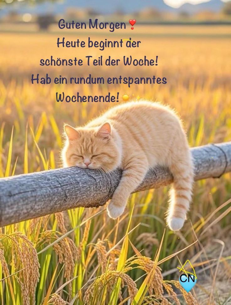 Schönes Wochenende Bilder 88