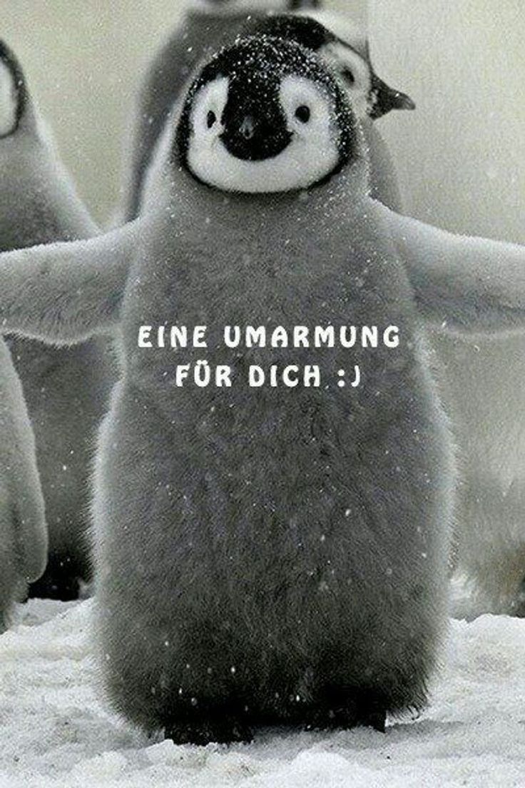 Umarmung Bilder 100