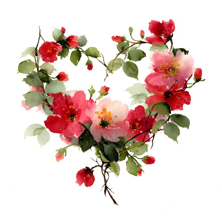 Valentinstag Bilder 17