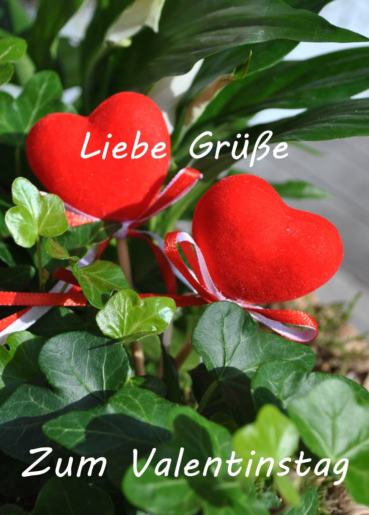 Valentinstag Bilder 31