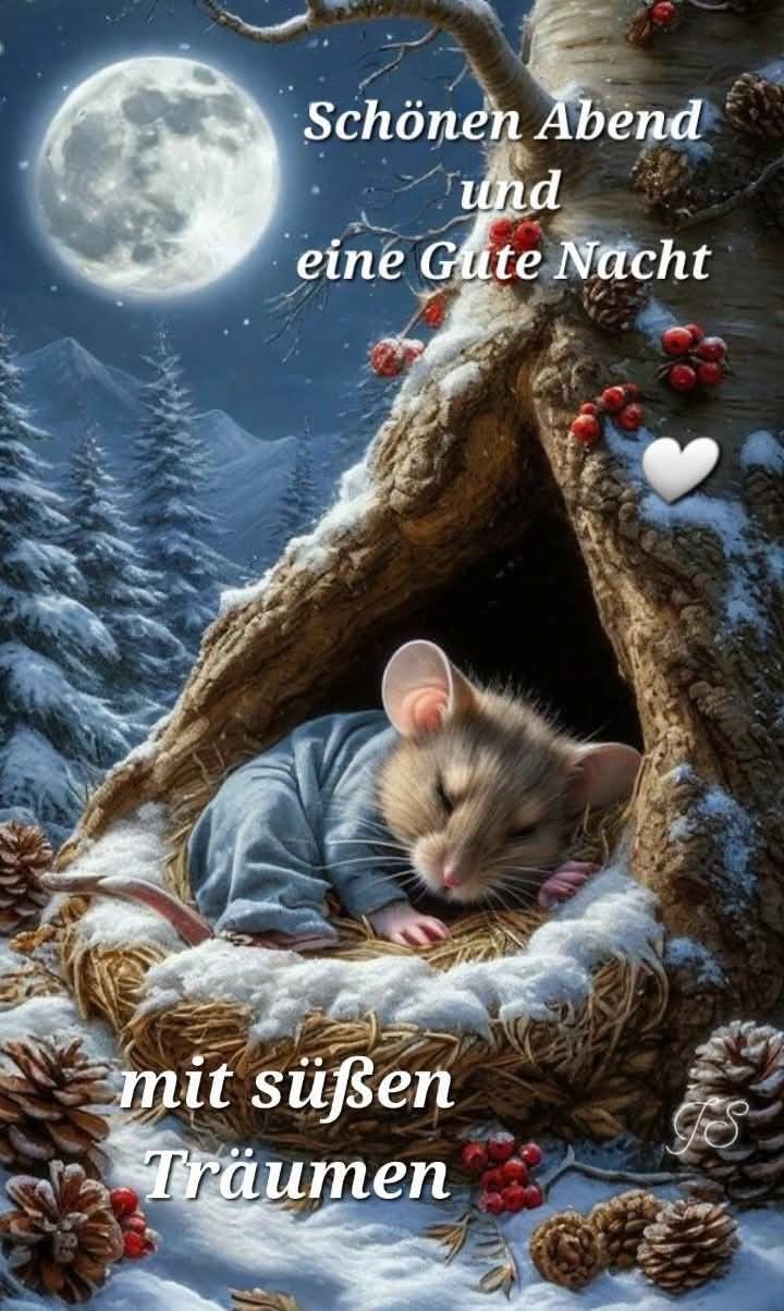 Wunderschöne Gute Nacht Bilder 104