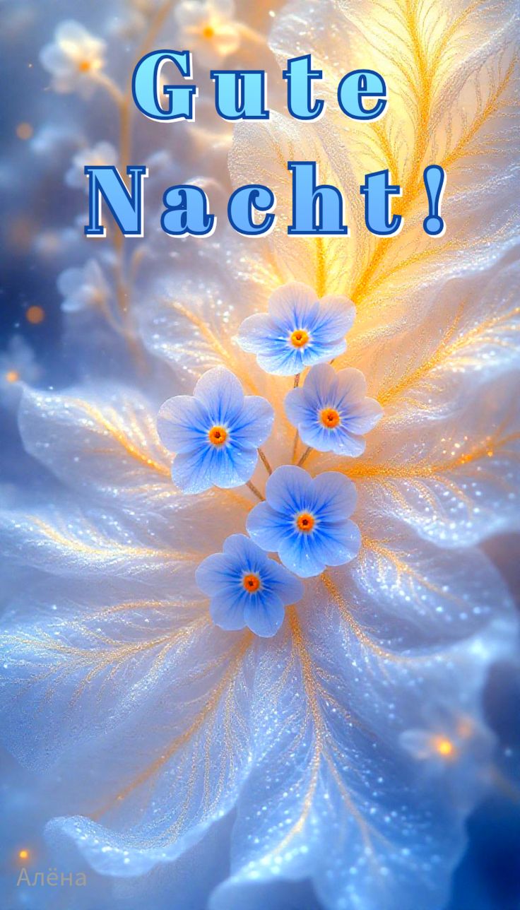 Wunderschöne Gute Nacht Bilder 111