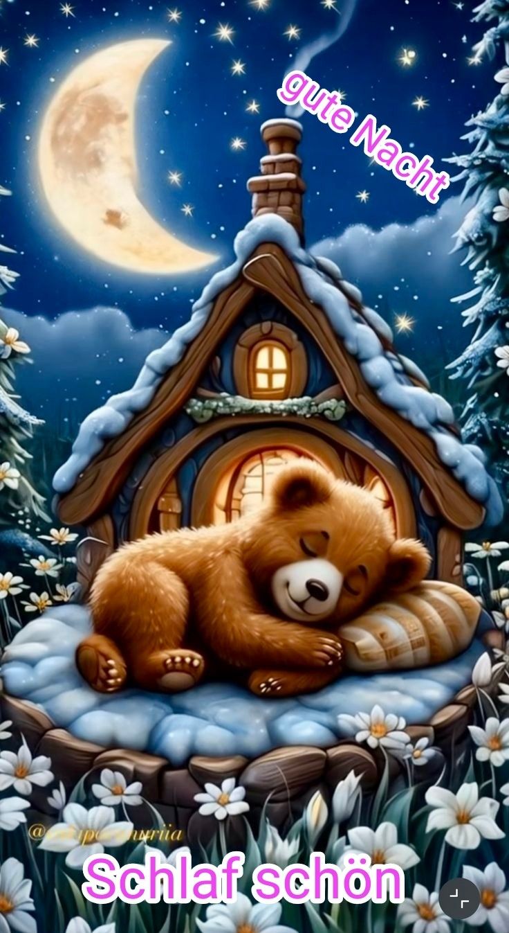 Wunderschöne Gute Nacht Bilder 114