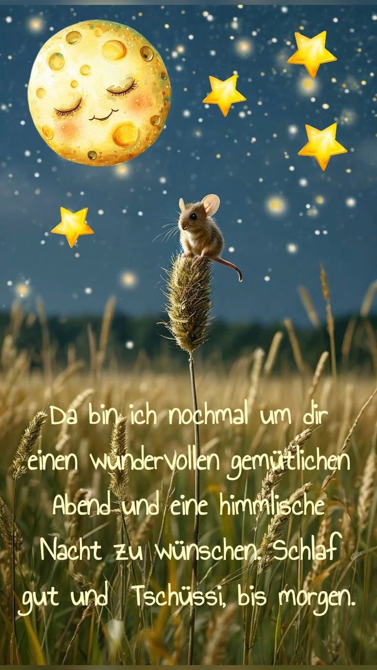 Wunderschöne Gute Nacht Bilder 122