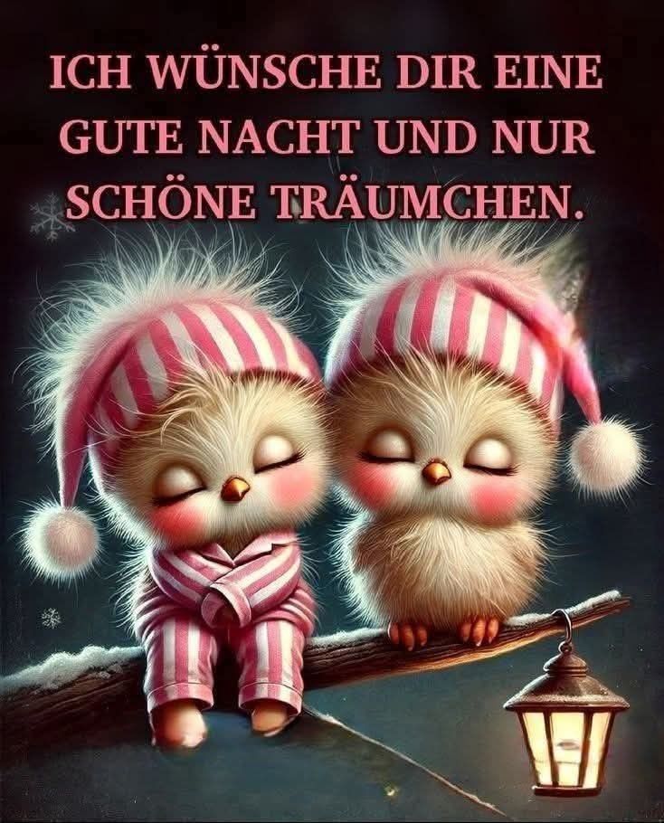 Wunderschöne Gute Nacht Bilder 132