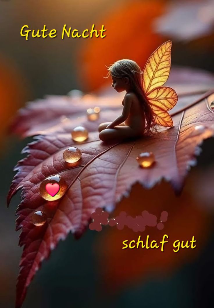 Wunderschöne Gute Nacht Bilder 15