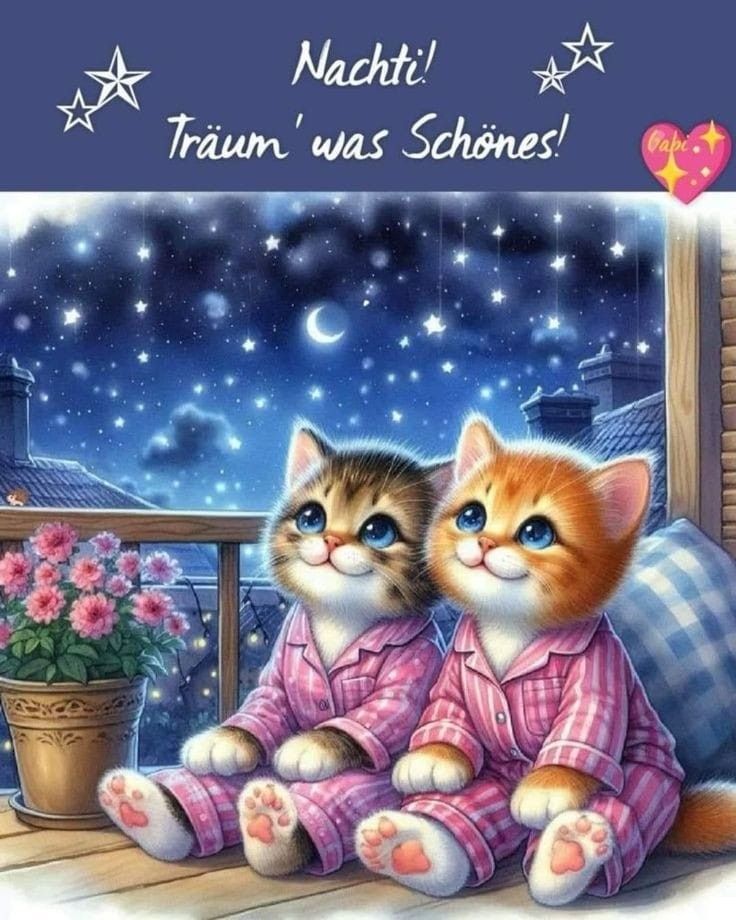 Wunderschöne Gute Nacht Bilder 20