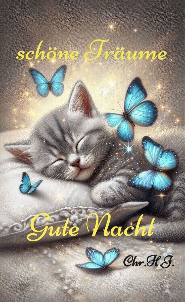 Wunderschöne Gute Nacht Bilder 27