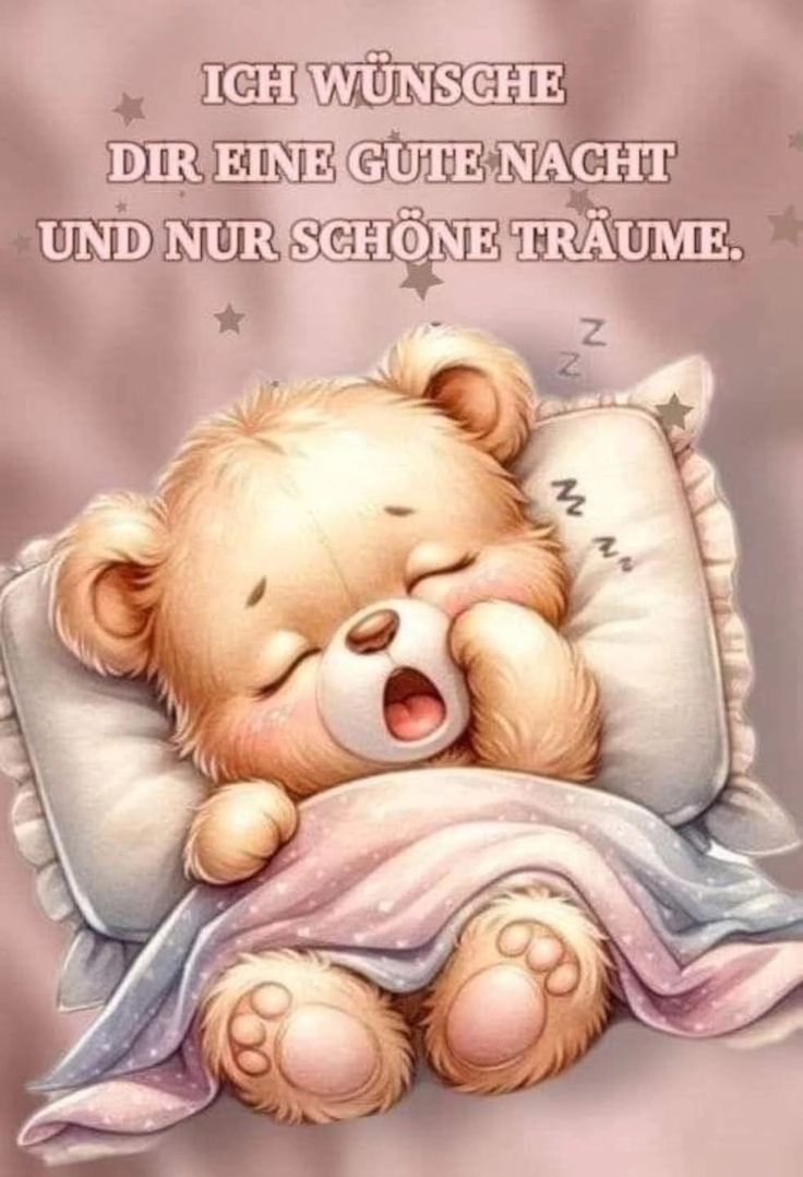 Wunderschöne Gute Nacht Bilder 29