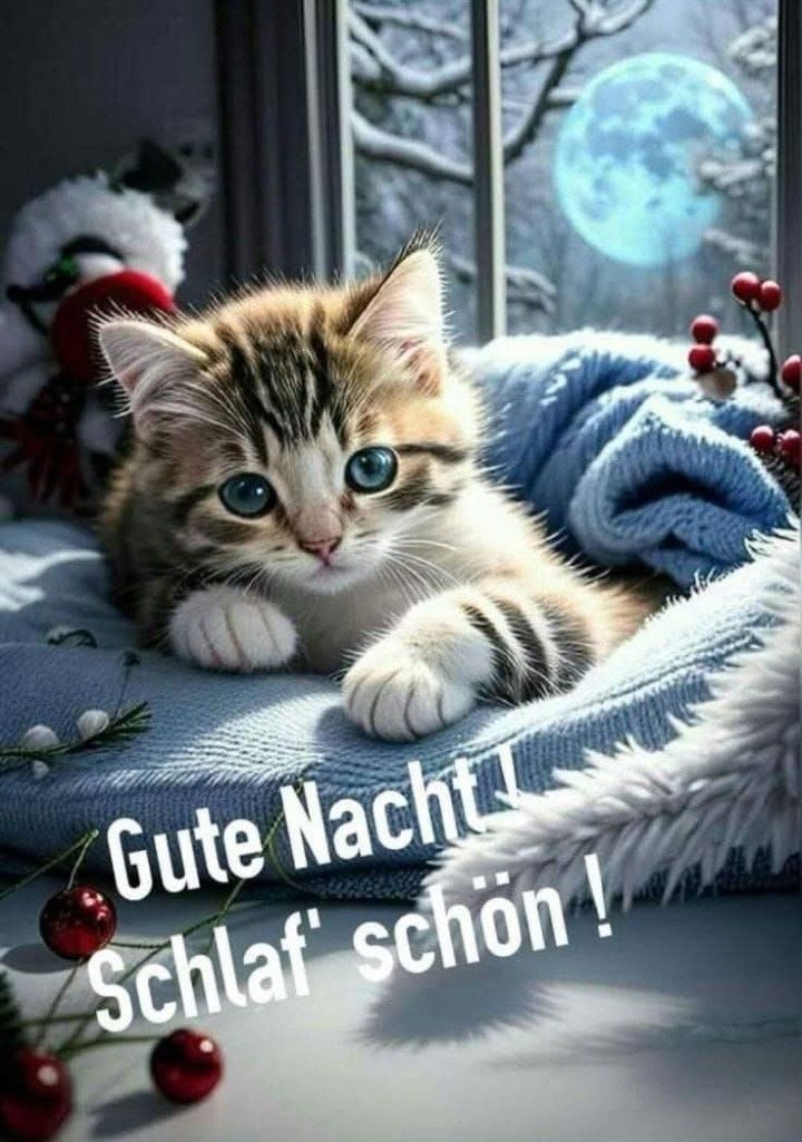 Wunderschöne Gute Nacht Bilder 40