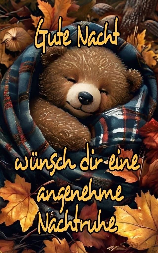 Wunderschöne Gute Nacht Bilder 43