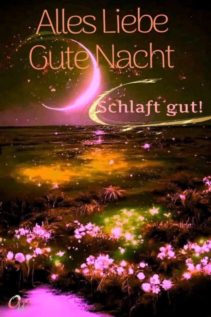 Wunderschöne Gute Nacht Bilder 48
