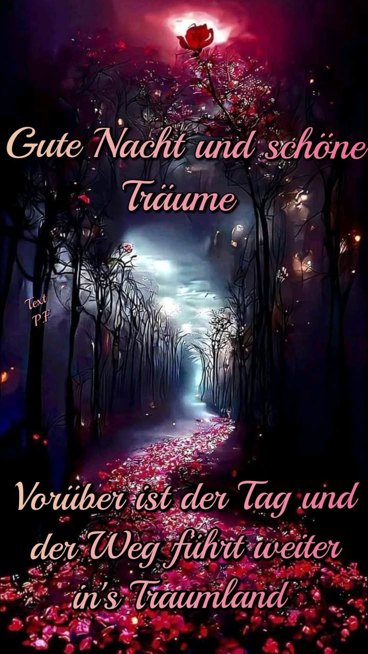 Wunderschöne Gute Nacht Bilder 50