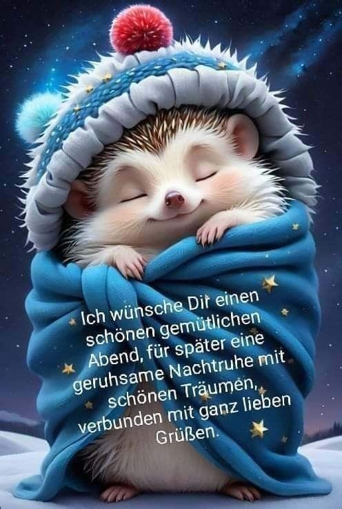 Wunderschöne Gute Nacht Bilder 58