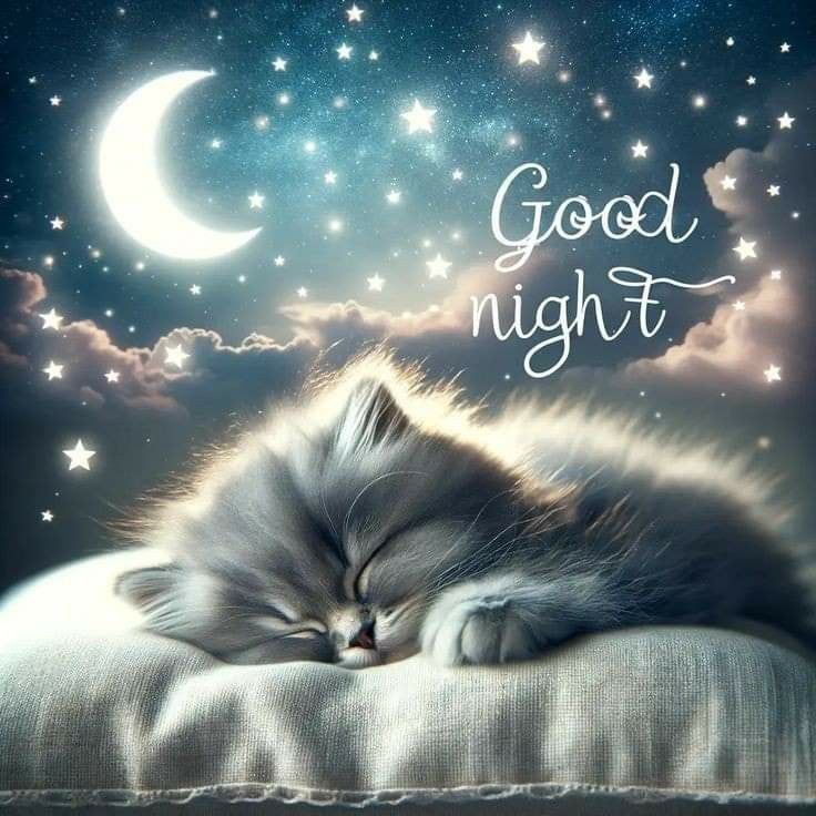Wunderschöne Gute Nacht Bilder 66