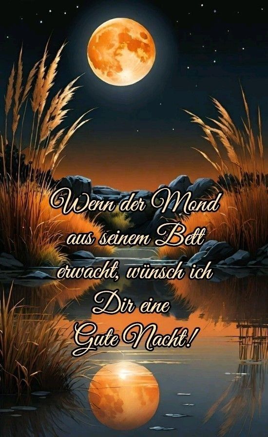 Wunderschöne Gute Nacht Bilder 77