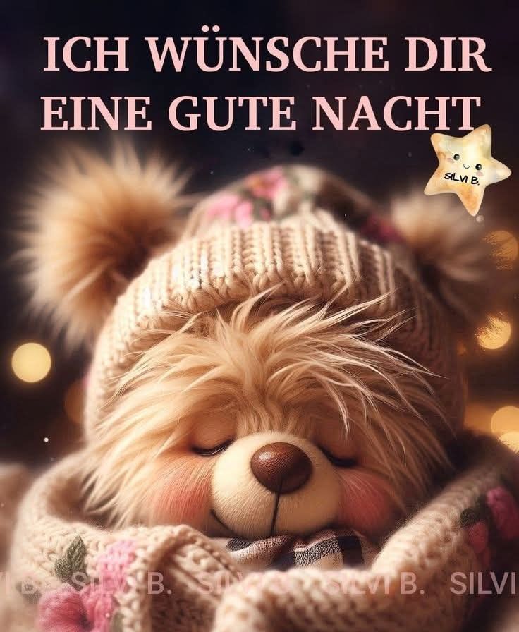 Wunderschöne Gute Nacht Bilder 82
