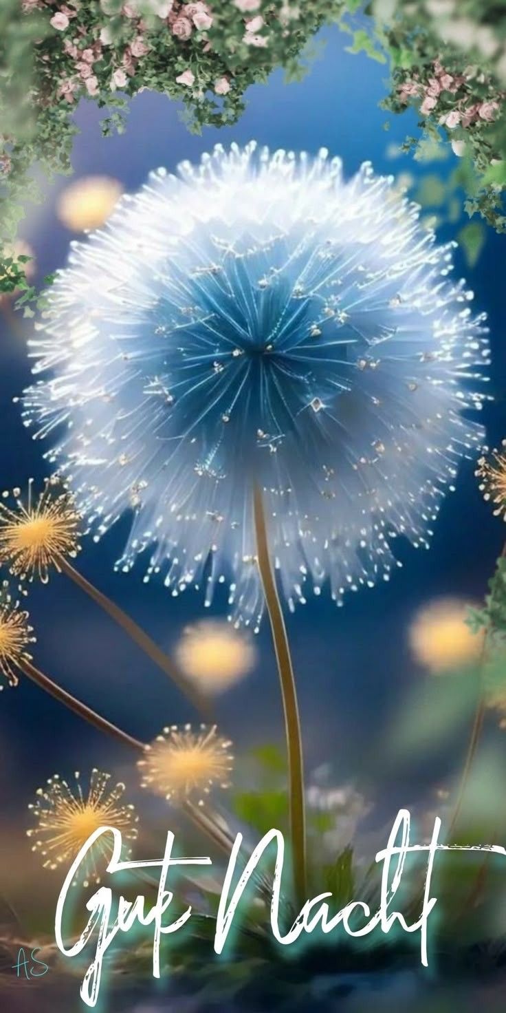 Wunderschöne Gute Nacht Bilder 9