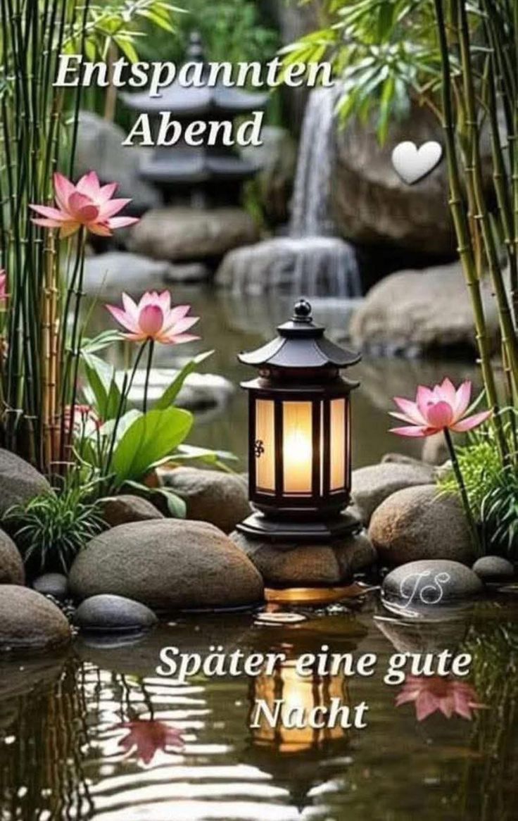Wunderschöne Gute Nacht Bilder 92